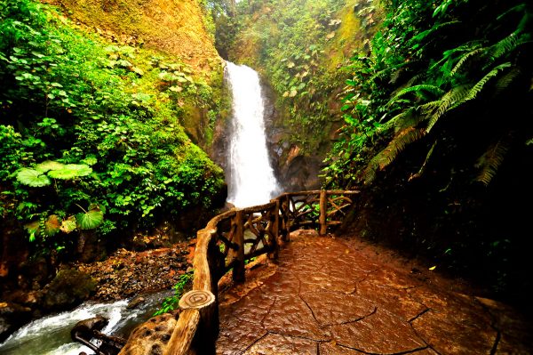 Doka Coﬀe Tour & La Paz Waterfall Gardens